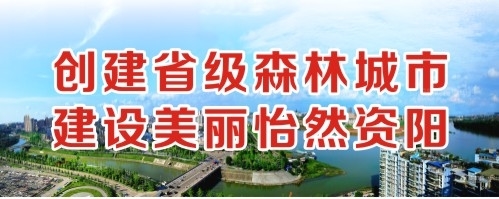 日屄视频免费创建省级森林城市 建设美丽怡然资阳